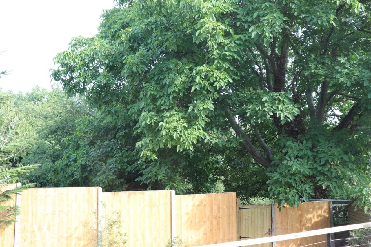 Walnut Tree View Villa Oxford Ngoại thất bức ảnh